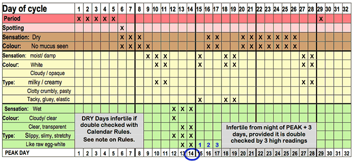 Mucus Charting Fertility