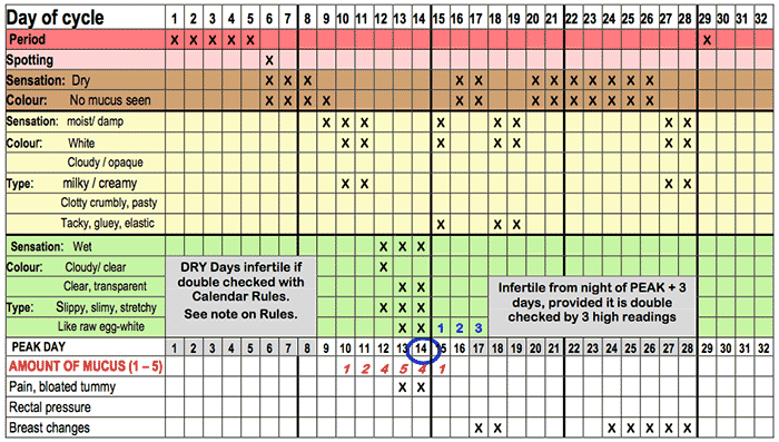 All of the previously described components together in one chart.