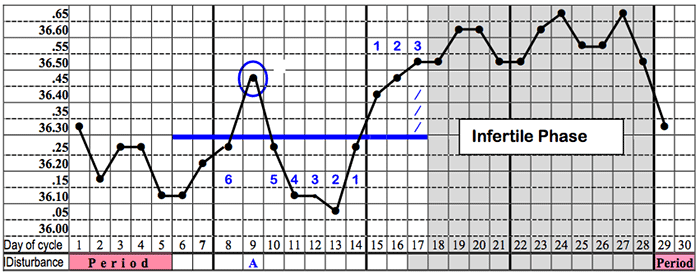 An example chart showing the Infertile Phase.