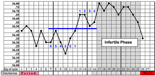 Charting Your Fertility Cycle