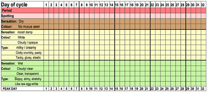 Chart comparing the different stages of mucus across the days of the cycle, as per the descriptions on the previous page.