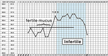 An example chart showing the presence of fertile mucus before the rise in temperature at ovulation that continues through the first part of the infertile phase.