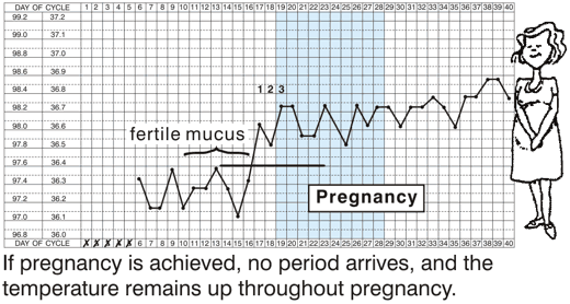 How To Chart Temperature For Fertility Canabi